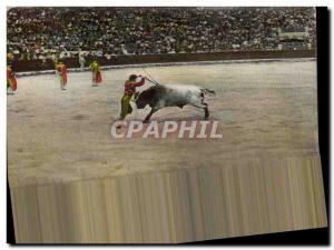 Old Postcard Bullfight Taurus Banderillas