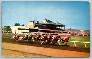 Caliente Horse Racing Track  Tijuana  Mexico   Postcard