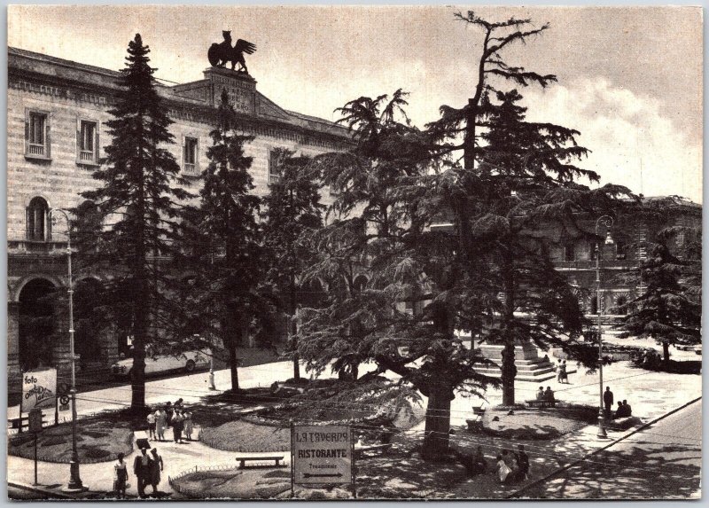 Perugia ~ Square Italy Pine Monument Trees Buildings Antique Postcard