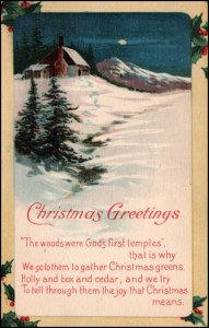 Christmas Scene Holly