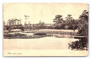 Postcard Fish Wire Creek Jacksonville Florida c1910 Postmark