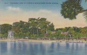 Florida Silver Springs Panoramic View Of Floridas World Famed Silver Springs