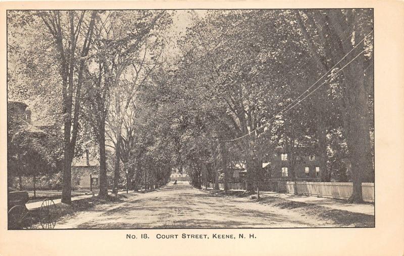 Keene New Hampshire~Court Street Scene~Fences & Trees by Sidewalk~Carriage~c1905