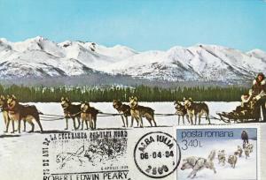 MAXI CARD ROMANIA POLAR DOGS PULLING SLEDGE