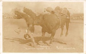 Sharkey The Famous Bucking Bull View Images 