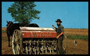 Amish Farmer,Horse Team Lancaster County,PA