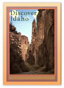 Discover Idaho Bruneau Canyon Area Continental View Postcard