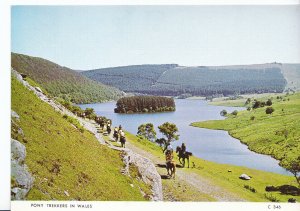 Wales Postcard - Pony Trekkers in Wales    AB1956
