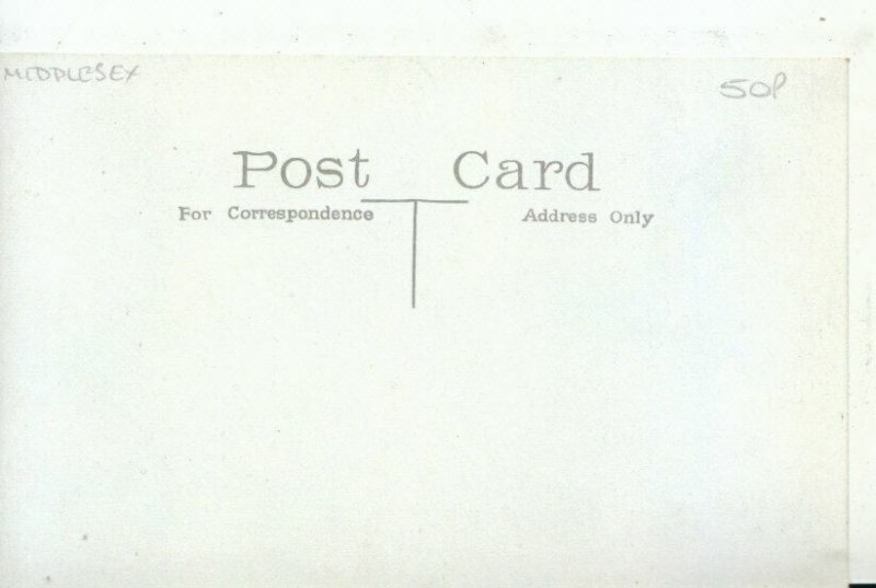 Middlesex Postcard - Hampton Court Palace - The Maze - Ref 12153A