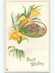 Divided-Back BEAUTIFUL FLOWERS SCENE Great Postcard AA3151