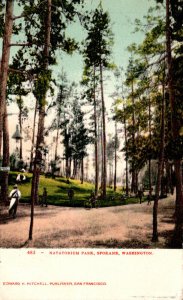 Washington Spokane Scene In Natatorium Park 1907