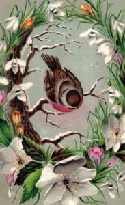 1880s Victorian Trade Card Wreath Of Flowers & Sweet Bird #6B