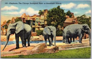 Brookfield Illinois ILL, Elephants, The Chicago Zoological Park, Postcard