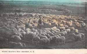 Aberdeen South Dakota Winter Quarters Sheep Ranch Vintage Postcard AA43929