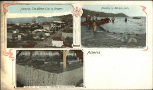 Astoria OR Multi-View c1905 Postcard