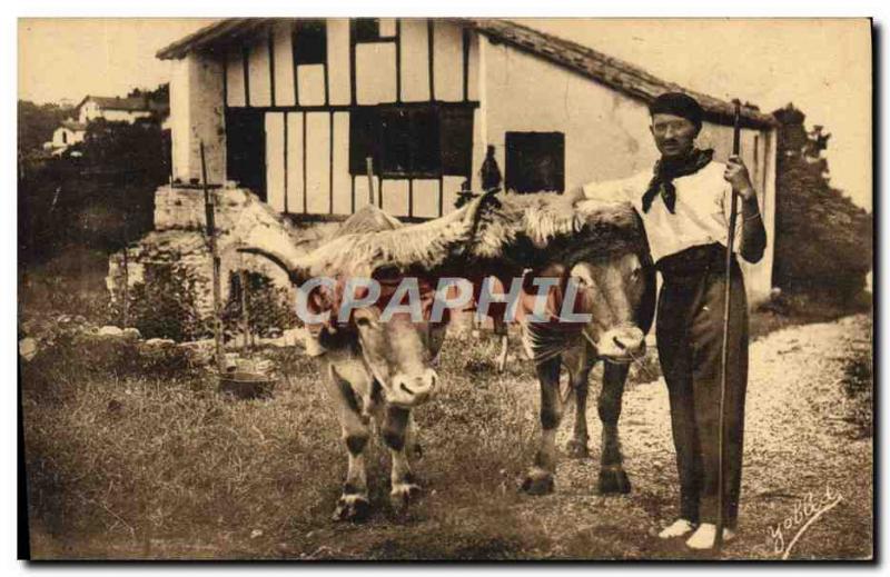 Old Postcard Folklore Guethary Basque Country copings oxen