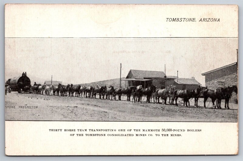 30 Horse Team Transporting Boiler To The Mines Tombstone AZ C1900s Postcard R18