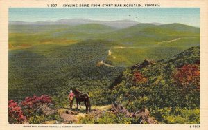 VA, Virginia  STONY MAN MOUNTAIN~SKYLINE DRIVE  Horse & Rider  c1940's Postcard