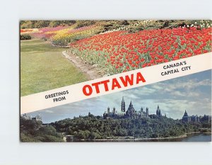 Postcard Greetings from Ottawa Ontario Canada