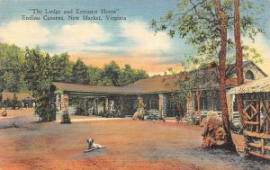 NEW MARKET, Virginia VA ~ ENDLESS CAVERNS Lodge & Entrance~Dog ca1940's Postcard