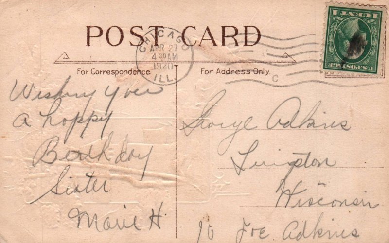 Birthday Birds Scene