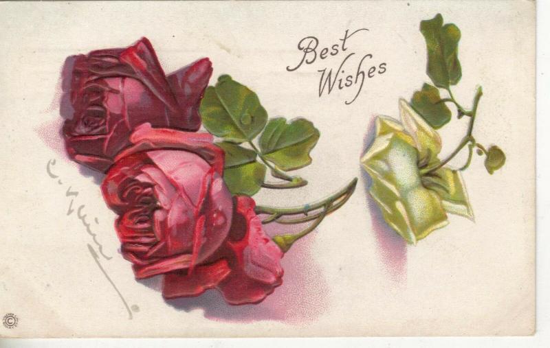 Best Wishes greetings red & white roses artist signed C Klein antique pc (Z5165)