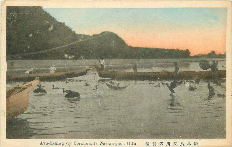 Ayu-fishing dy Cormorants Nayara gua Gifu Japan C-1910 Postcard 2084