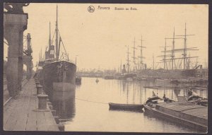 BELGIUM, Vintage postcard, Antwerp, Bassin au Bois