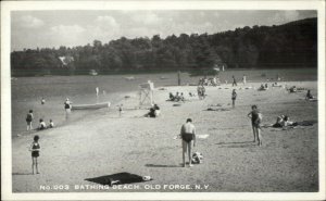 Old Forge NY Bathing Beach Real Photo Postcard