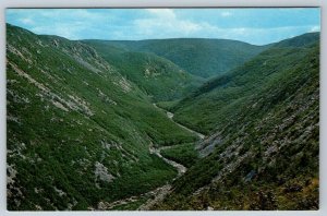 MacKenzie River, Pleasant Bay, Cape Breton Nova Scotia, Vintage Postcard #2