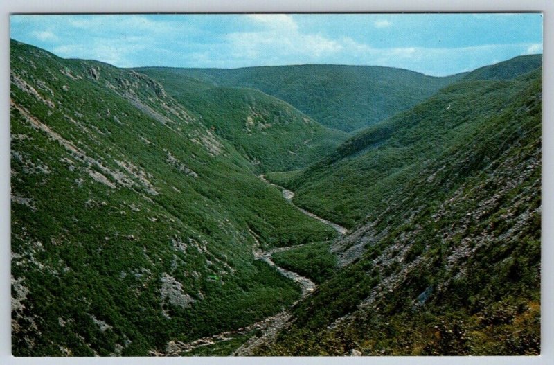 MacKenzie River, Pleasant Bay, Cape Breton Nova Scotia, Vintage Postcard #2