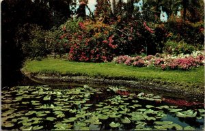 Greetings Oneonta New York NY Garden Lily Pond Postcard VTG UNP Dexter Vintage 