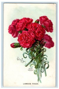 c1910 Lawson Pinks Flower Dental Advertising Taft Dental Posted Postcard