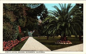 Postcard GARDEN SCENE Sacramento California CA AI2341