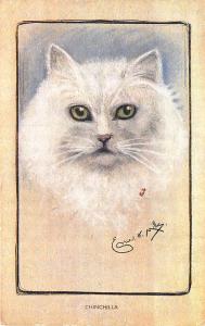 'Chinchilla Signed Artist Ernest Mills Postcard