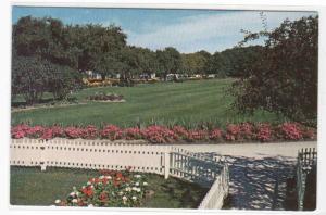 Honey Bear Farm Genoa City Wisconsin #2 postcard