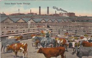 Illinois Chicago Union Stock Yards