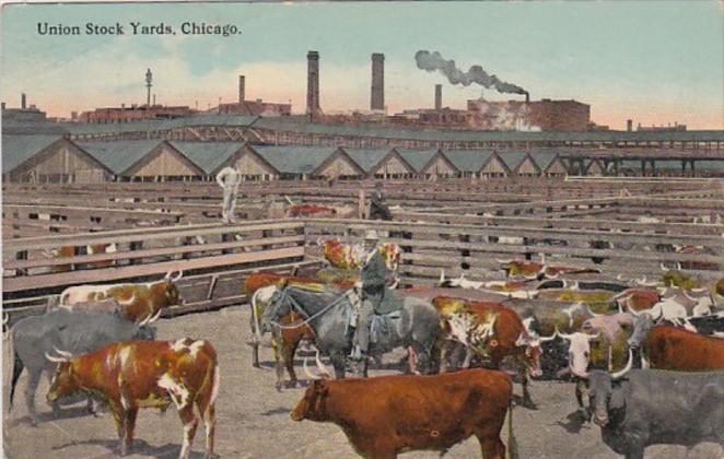 Illinois Chicago Union Stock Yards