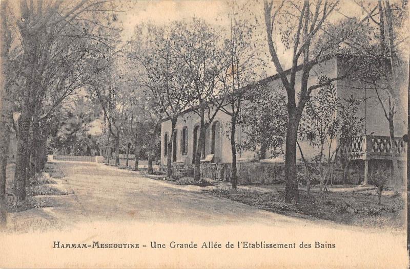 BR46163 un grande allee de l etablisement des bains Hammam Meskoutine   Algeria