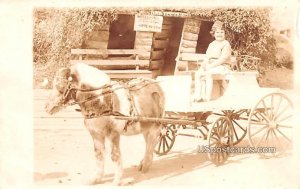 Jane Price on Carriage - Hot Springs, Arkansas AR  