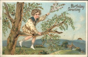 Birthday Little Boy in Tree Gilt Inlay Embossed c1910 Vintage Postcard