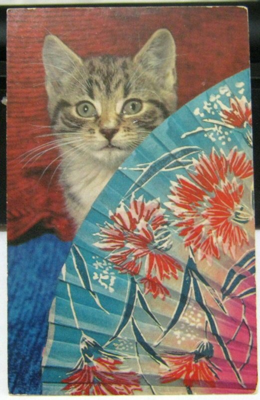 Postcard Animal Cat Kitten and Fan - unposted sample