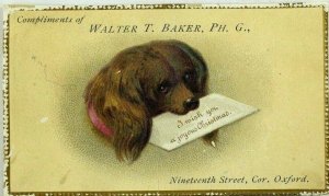 1880's-90's Embossed Christmas Card Walter T. Baker Adorable Dog & Letter P98