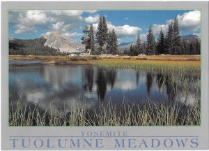 Tuolumne Meadows in Yosemite National Park California 4 by 6