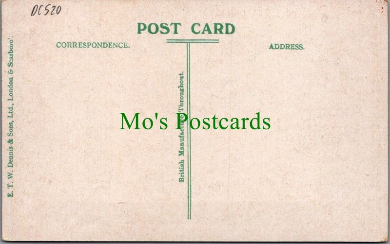 Wales Postcard - Aberystwyth, Devil's Bridge Cascade & Hotel  DC520