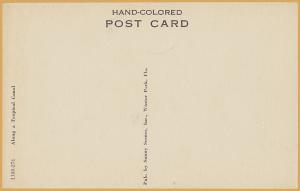 Along a tropical Canal, Hand colored, Winter Park, FLA., 