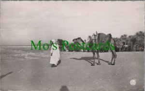 Africa Postcard - Priere Dans Le Desert - Camel   RS26802