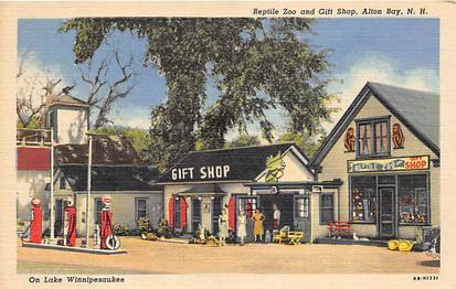  Alton Bay, NH USA Postcard Reptile Zoo and Gift Shop