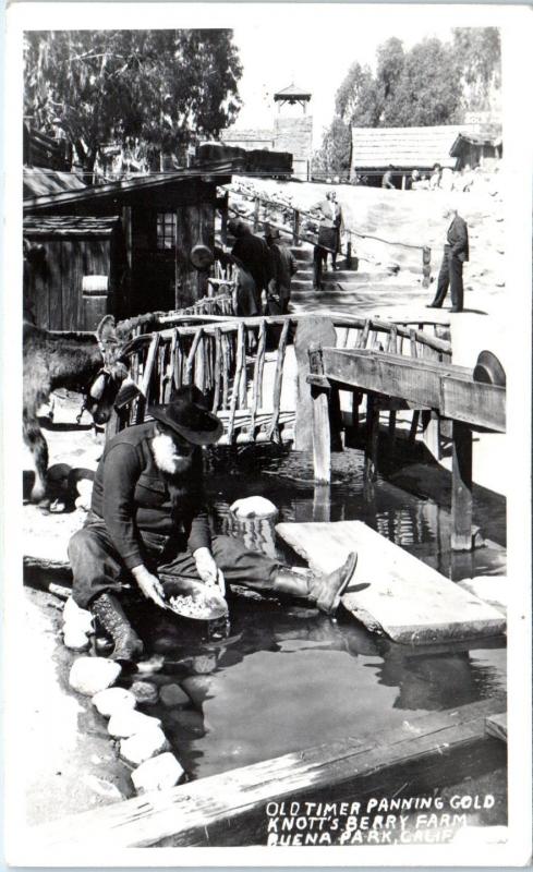 RPPC  KNOTT'S BERRY FARM, CA  Old Timer PANNING GOLD   c1950s   Postcard