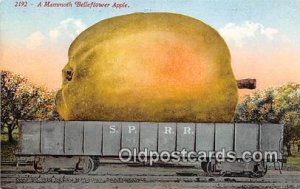 Exaggeration Mammoth Belleflower Apple Unused 